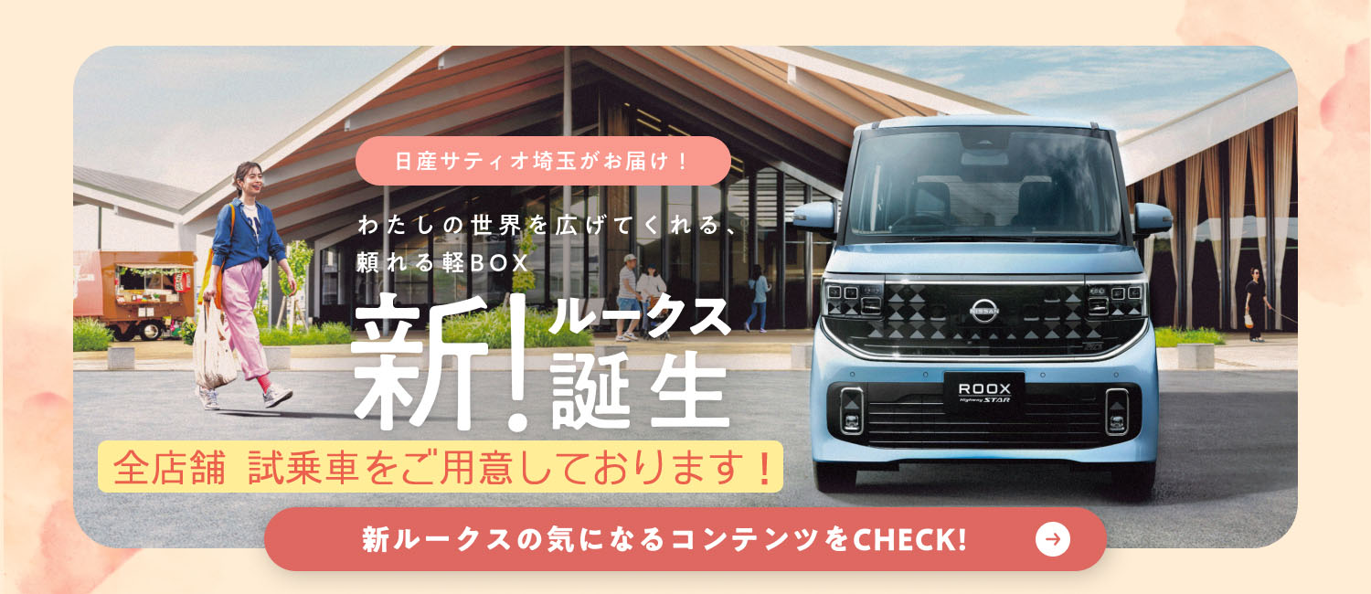 公道不可】アシスト領域拡大キット 取付サポート付き 埼玉上尾 全市民 