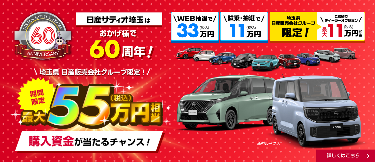 公道不可】アシスト領域拡大キット 取付サポート付き 埼玉上尾 全市民 